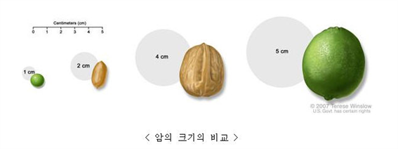 PIC1FA9.png