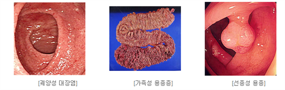 PIC8017.png